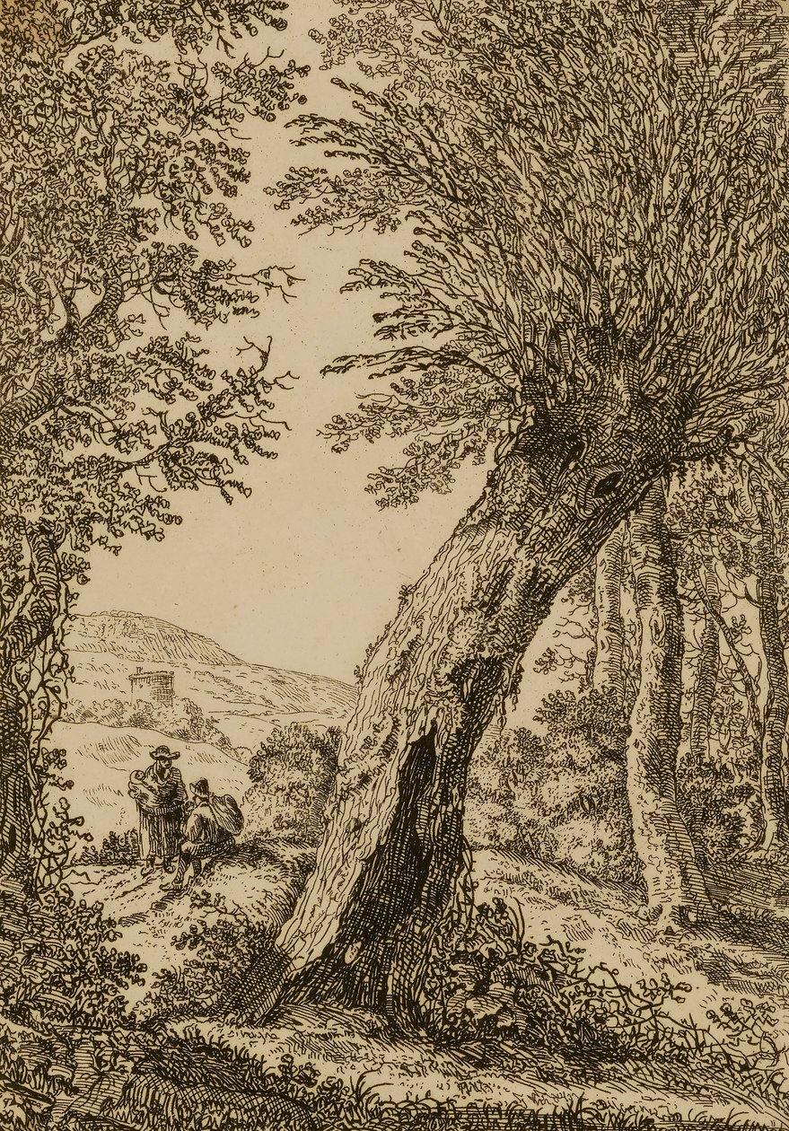 Landschap met wilg door Willem Bemmel