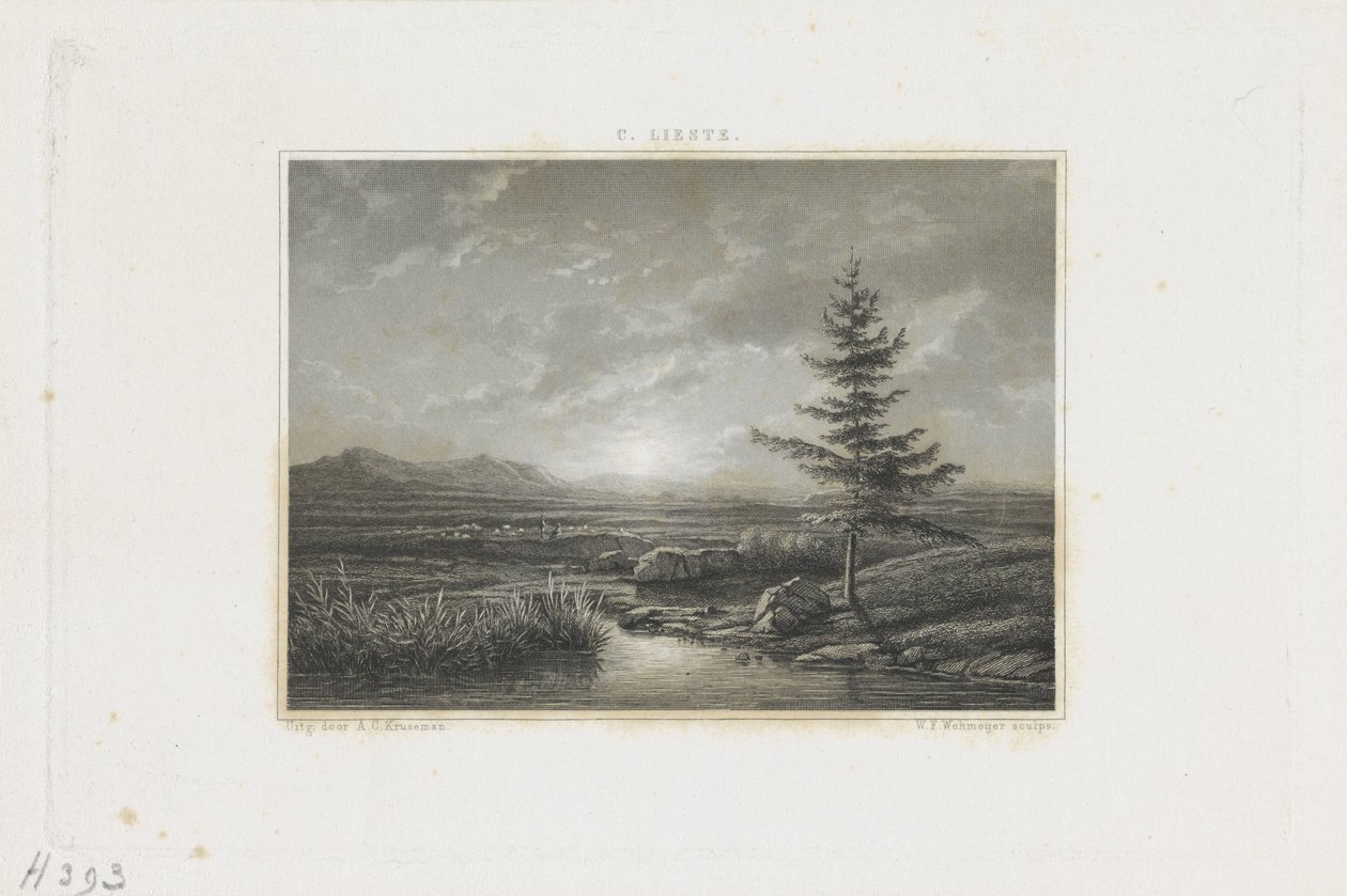 Landschap met een beek door Willem Frederik Wehmeyer