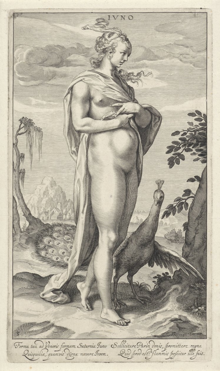 Juno met pauw door Willem Isaacsz. van Swanenburg