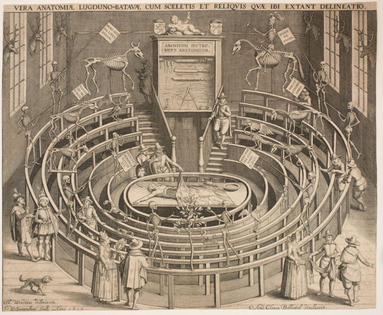 De Zaal van het Anatomisch Theater in Leiden door Willem Isaaksz Swanenburgh