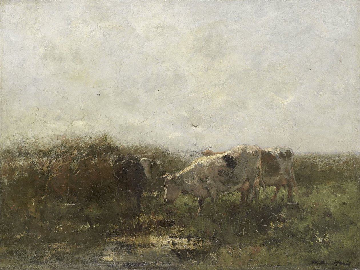  door Willem Maris