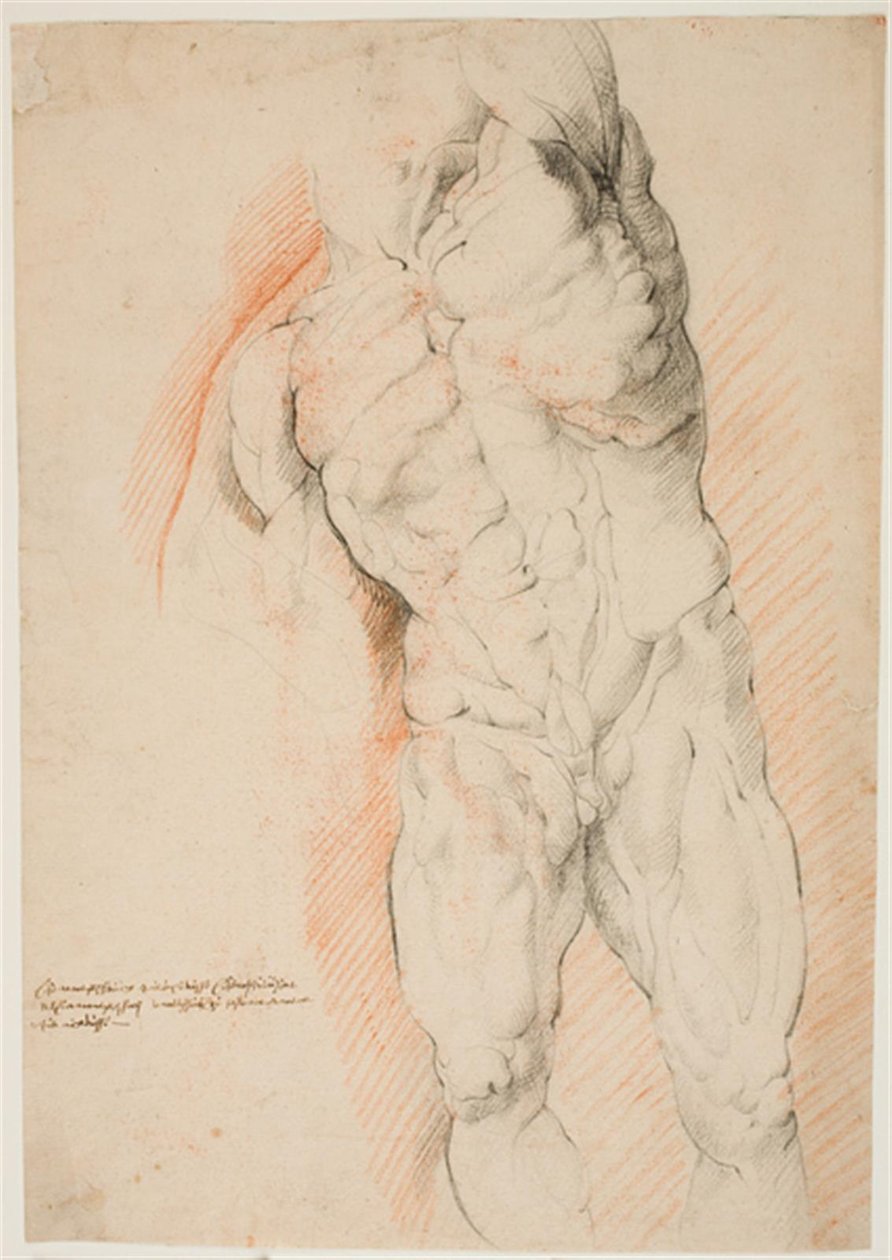 Anatomische studie (écorché). Vooraanzicht van staande gevilde man, zijn linkerarm opgeheven door Willem Panneels
