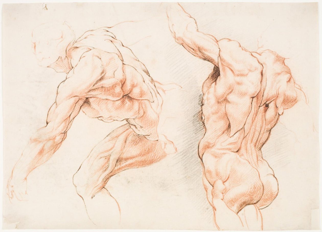 Twee anatomische studies van een man die naar links leunt en een andere van achteren gezien met opgeheven arm (écorché) door Willem Panneels