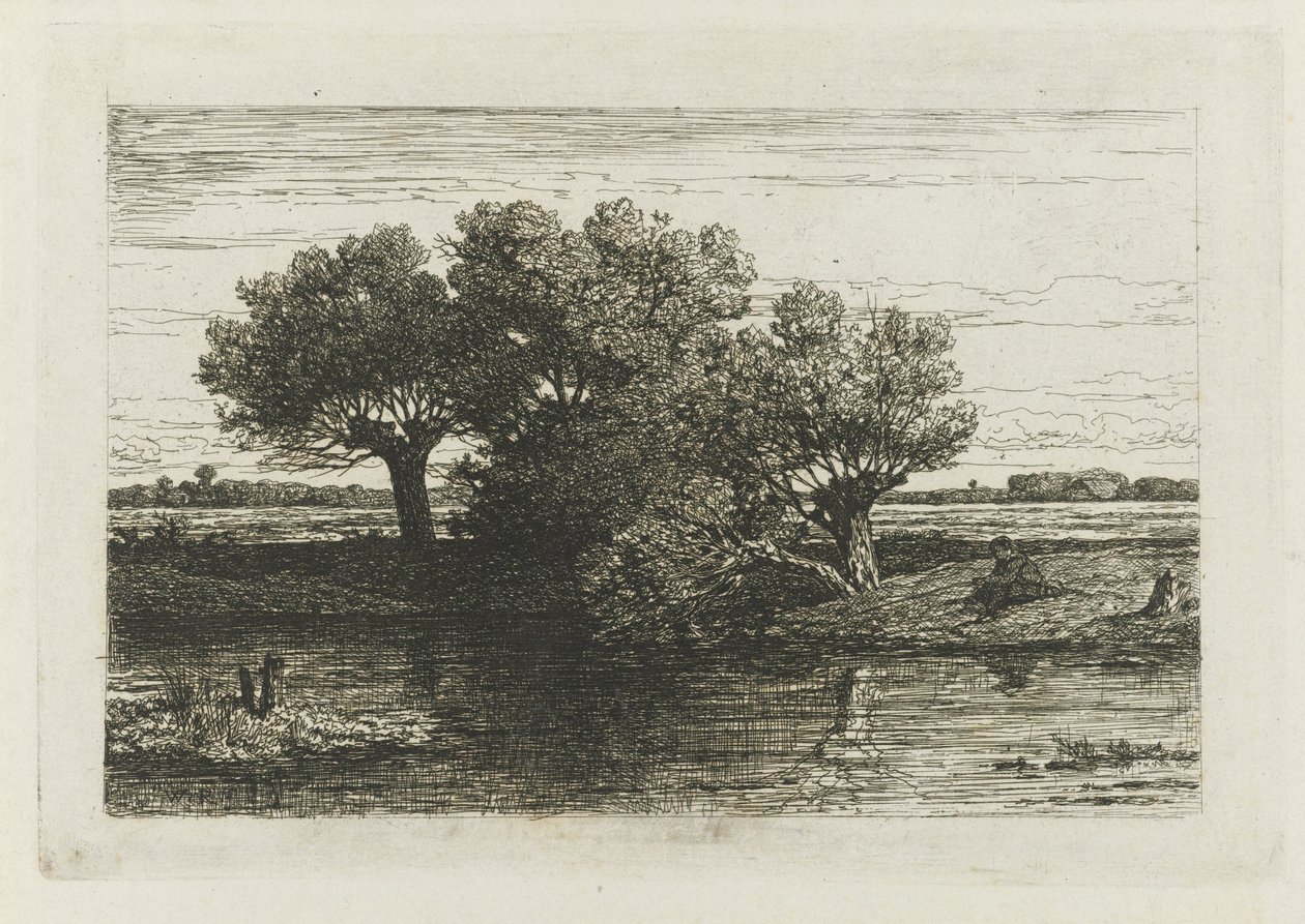 Visser bij de knotwilgen door Willem Roelofs (I)