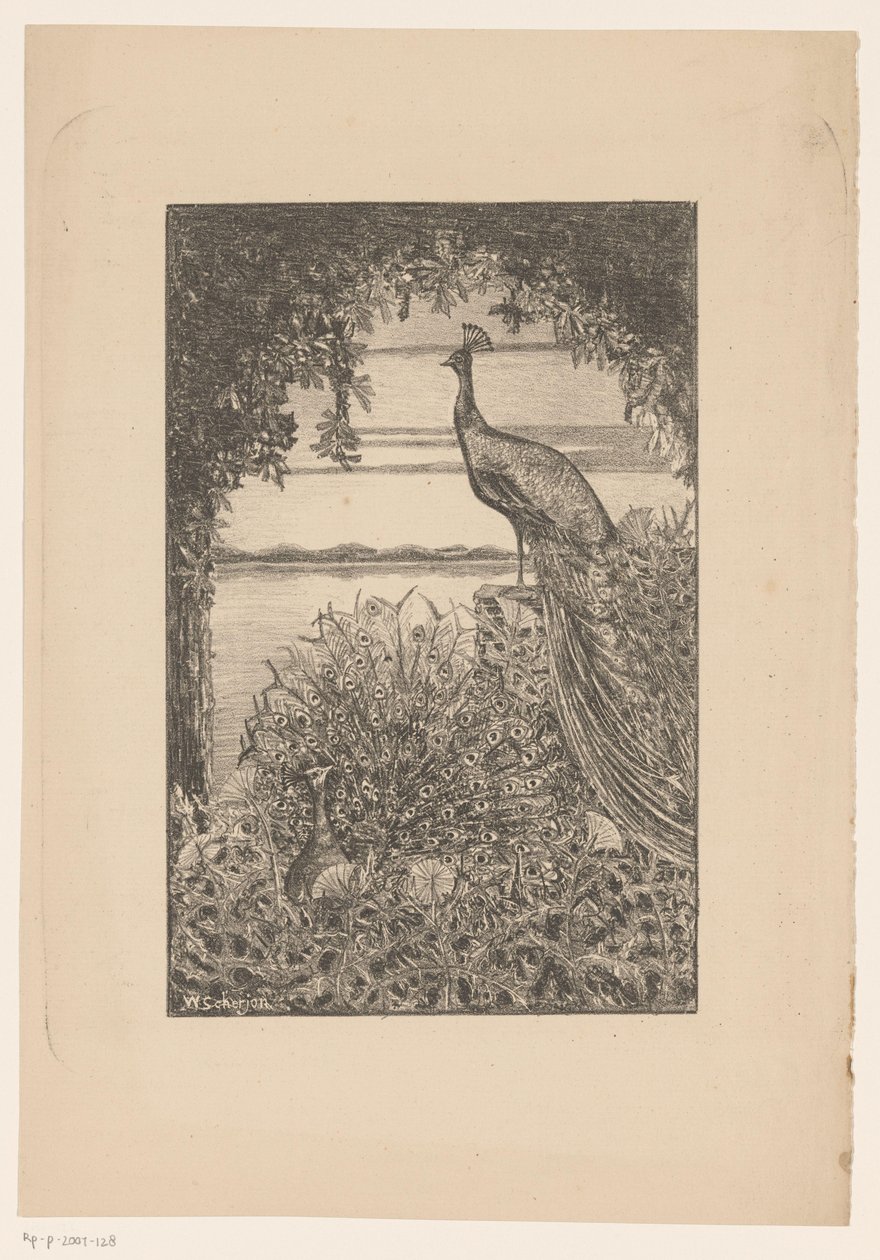 Zittende en staande pauw in de natuur door Willem Scherjon