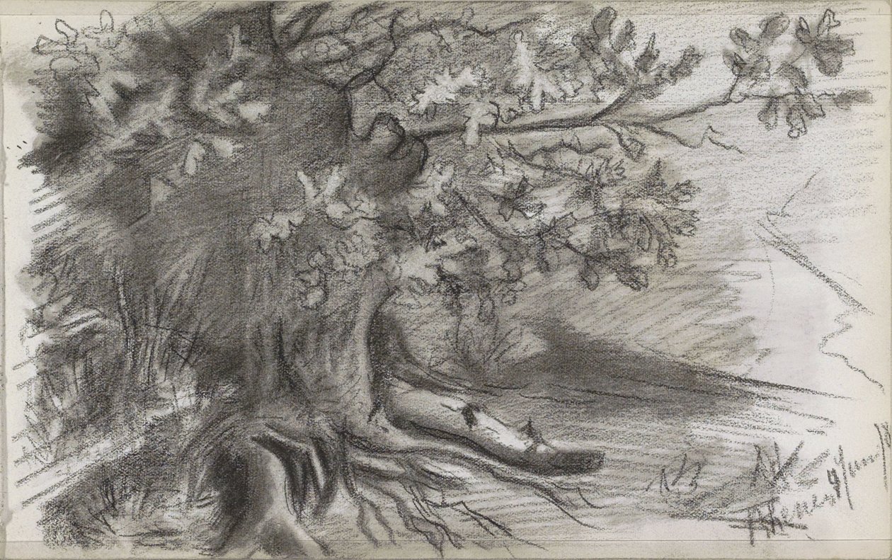 Landschap met een grote boom in Rhenen door Willem Arnoldus Witsen