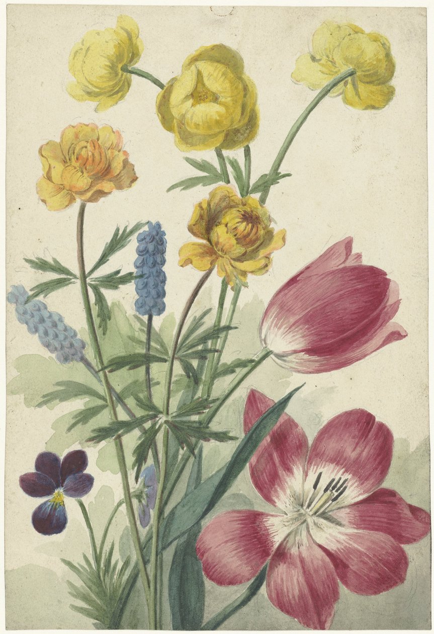 Boeket van tulpen, viooltjes, blauwe druifjes en dotters door Willem van Leen