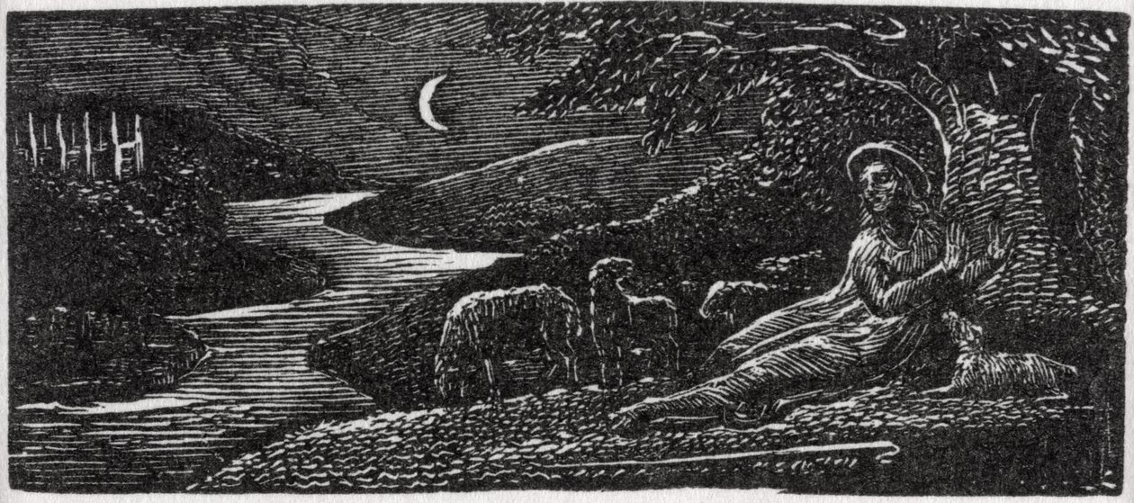 Colinet Rustend in Cambridge bij Nacht, illustratie uit Dr. Thornton