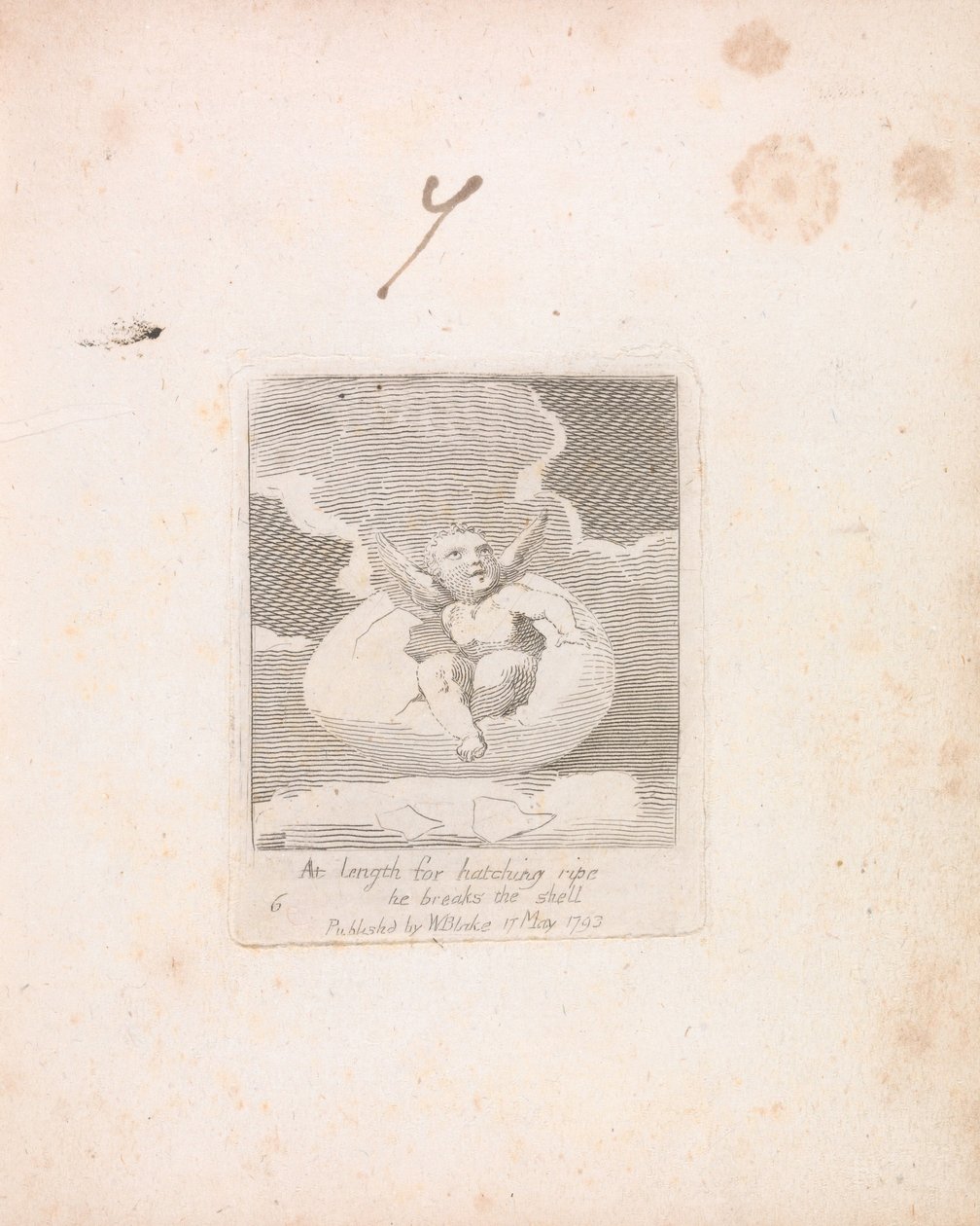 Voor Kinderen. De Poorten van het Paradijs, Plaat 8, Eindelijk voor het uitkomen rijp breekt hij de schaal door William Blake