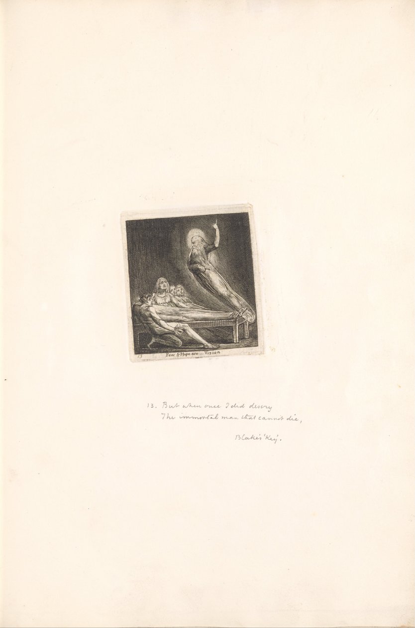 Voor de Geslachten- De Poorten van het Paradijs, Plaat 15, Angst en hoop zijn -- Visie door William Blake
