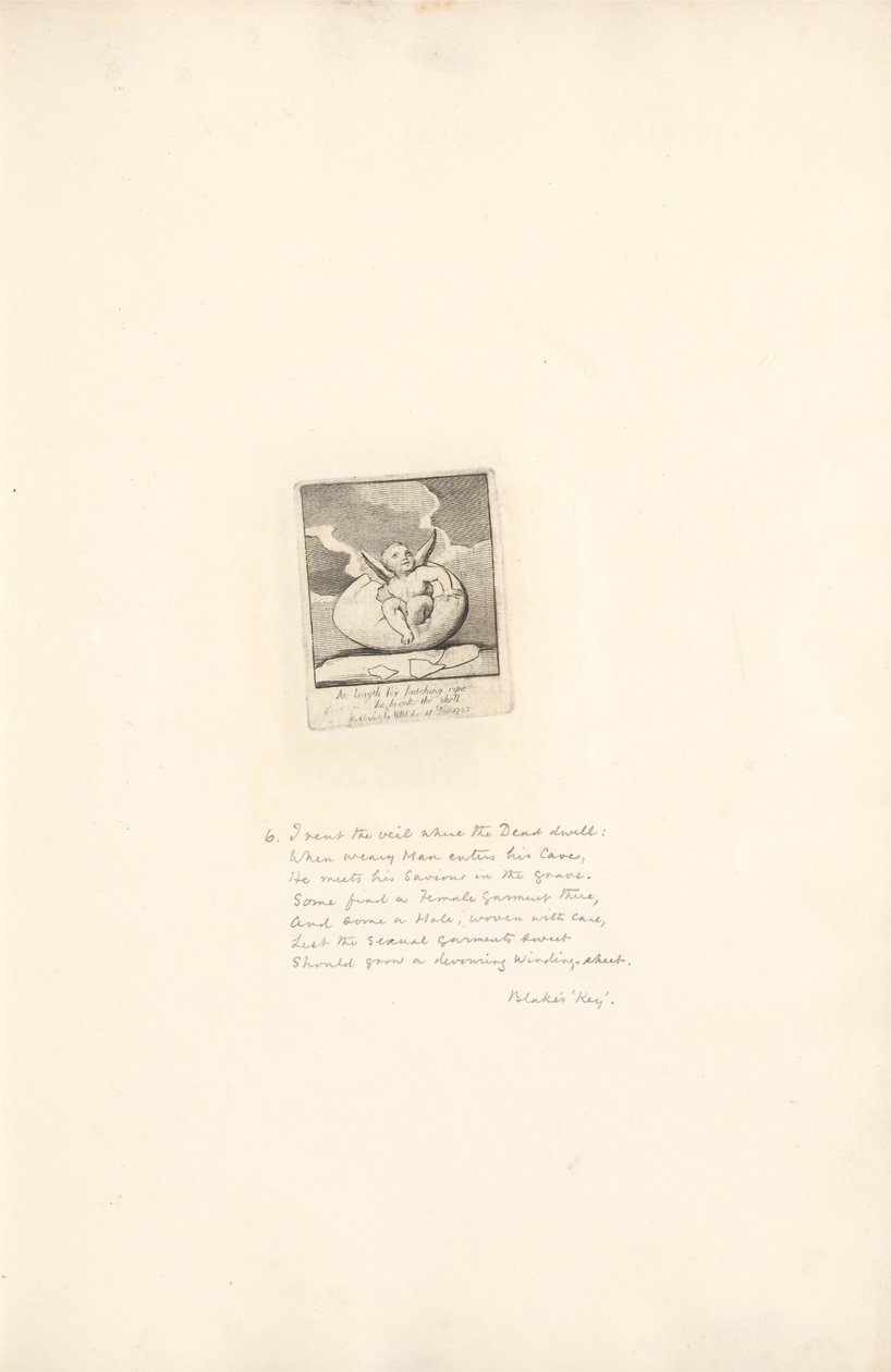 Voor de Geslachten- De Poorten van het Paradijs, Plaat 8, Eindelijk voor het uitkomen rijp breekt hij de schaal door William Blake