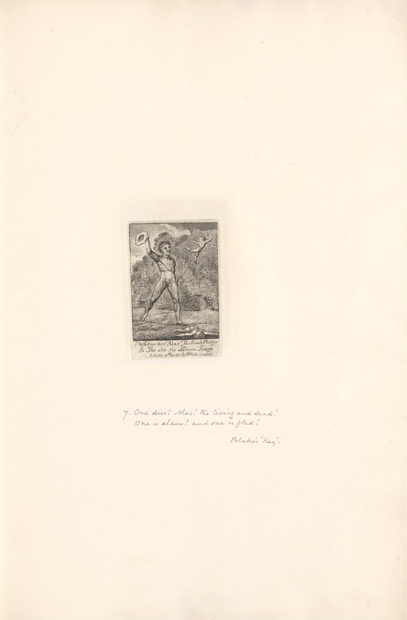 Voor de Geslachten- De Poorten van het Paradijs, Plaat 9, Helaas! door William Blake