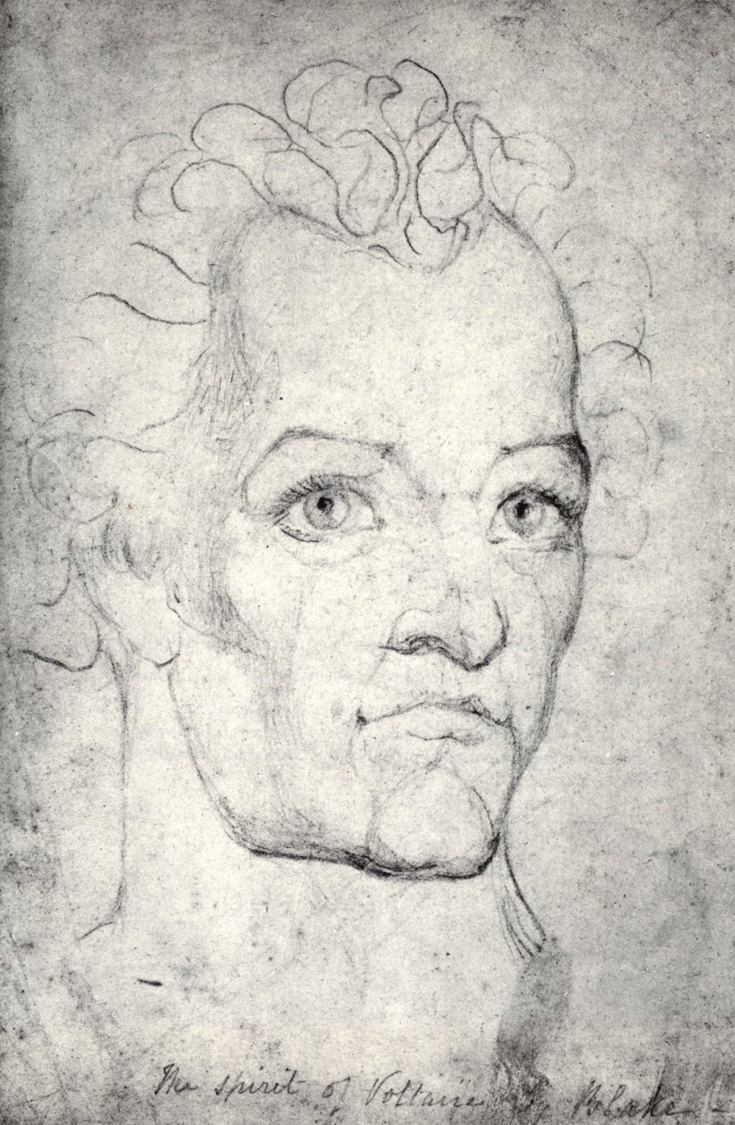 Hoofd van Voltaire door William Blake