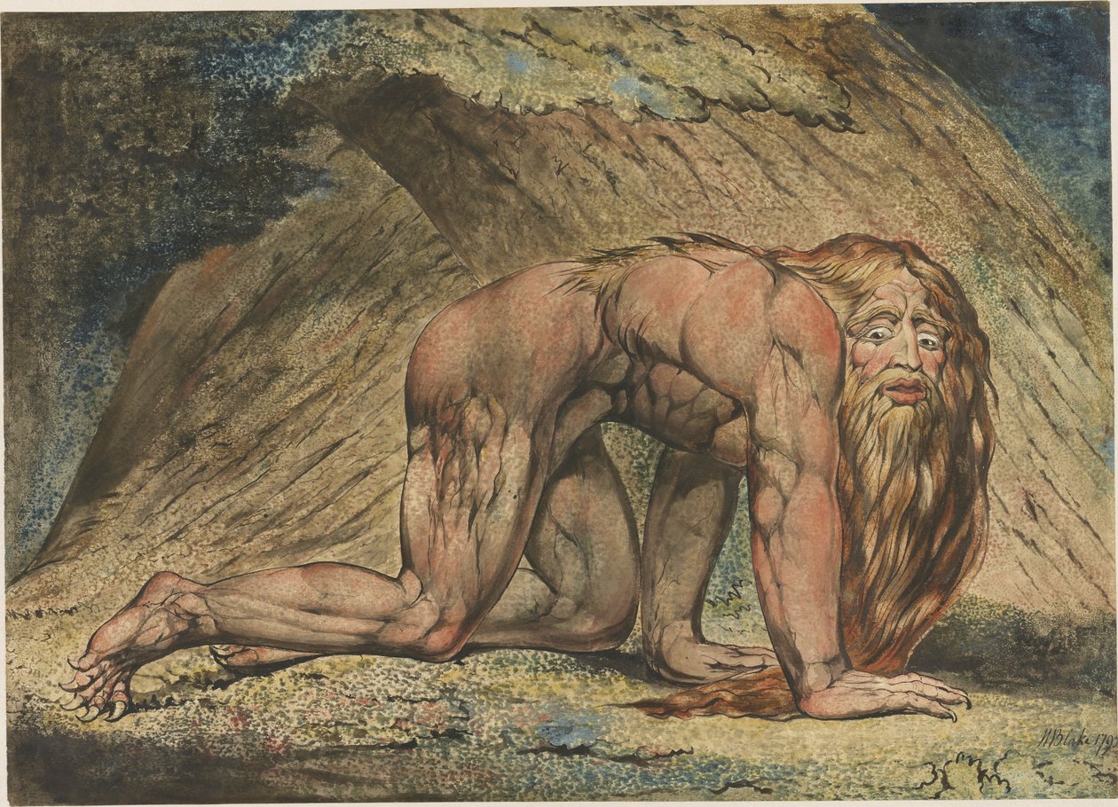Nebukadnezar door William Blake