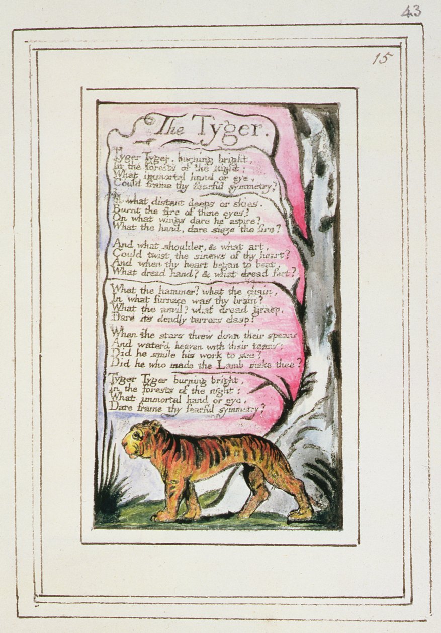 P.124-1950.pt43 De Tijger: plaat 43 uit 