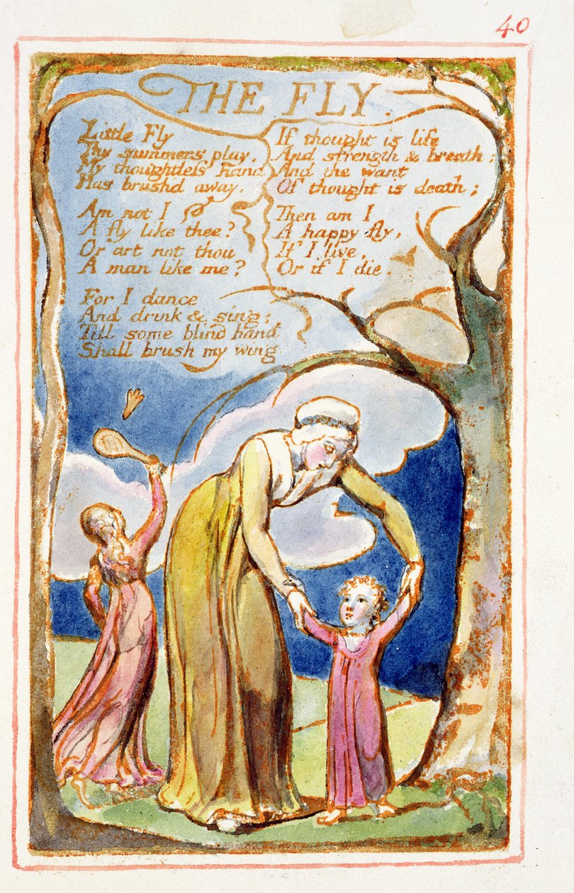De vlieg: plaat 40 uit Songs of Innocence and of Experience (kopie AA) ca. 1815-26 door William Blake