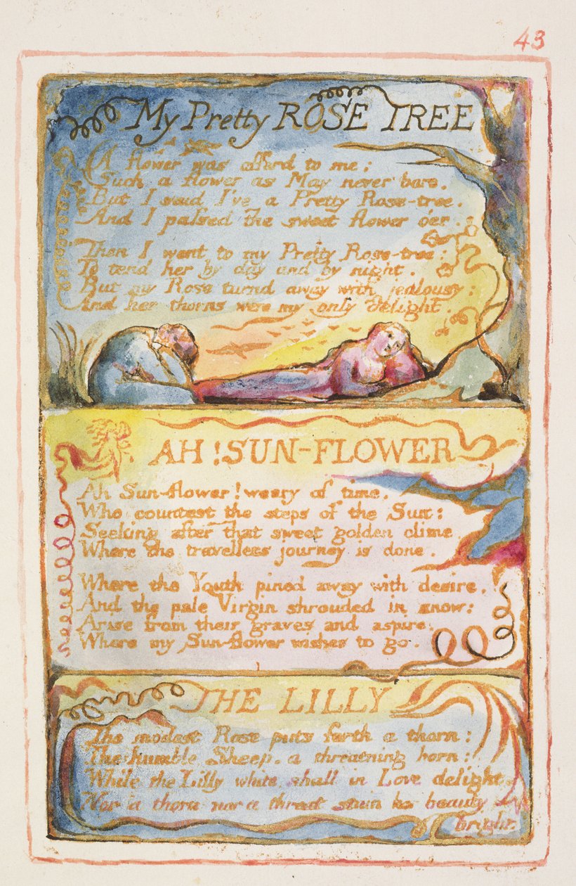 Mijn mooie rozenstruik; Ah! Zonnebloem; De lelie: plaat 43 uit Songs of Innocence and of Experience (kopie AA) ca. 1815-26 door William Blake