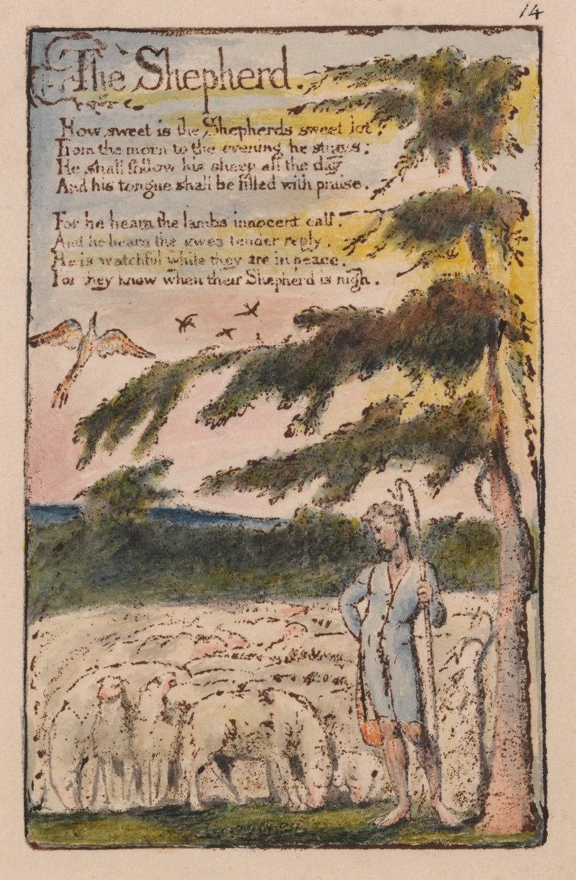 Liederen van onschuld en ervaring, plaat 14, de herder (Bentley 5) door William Blake