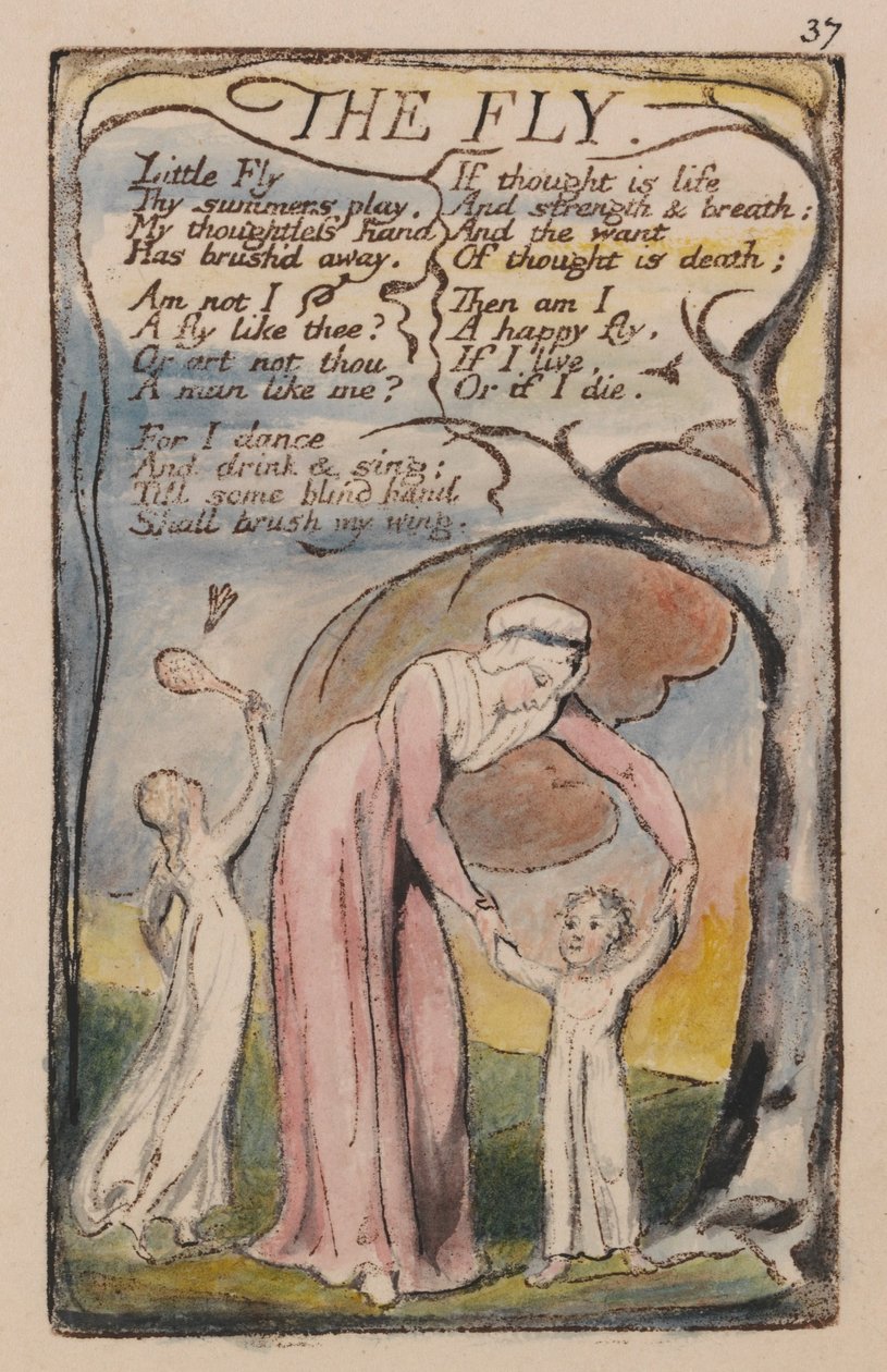 Liederen van Onschuld en Ervaring, Plaat 37, De Vlieg (Bentley 40) door William Blake