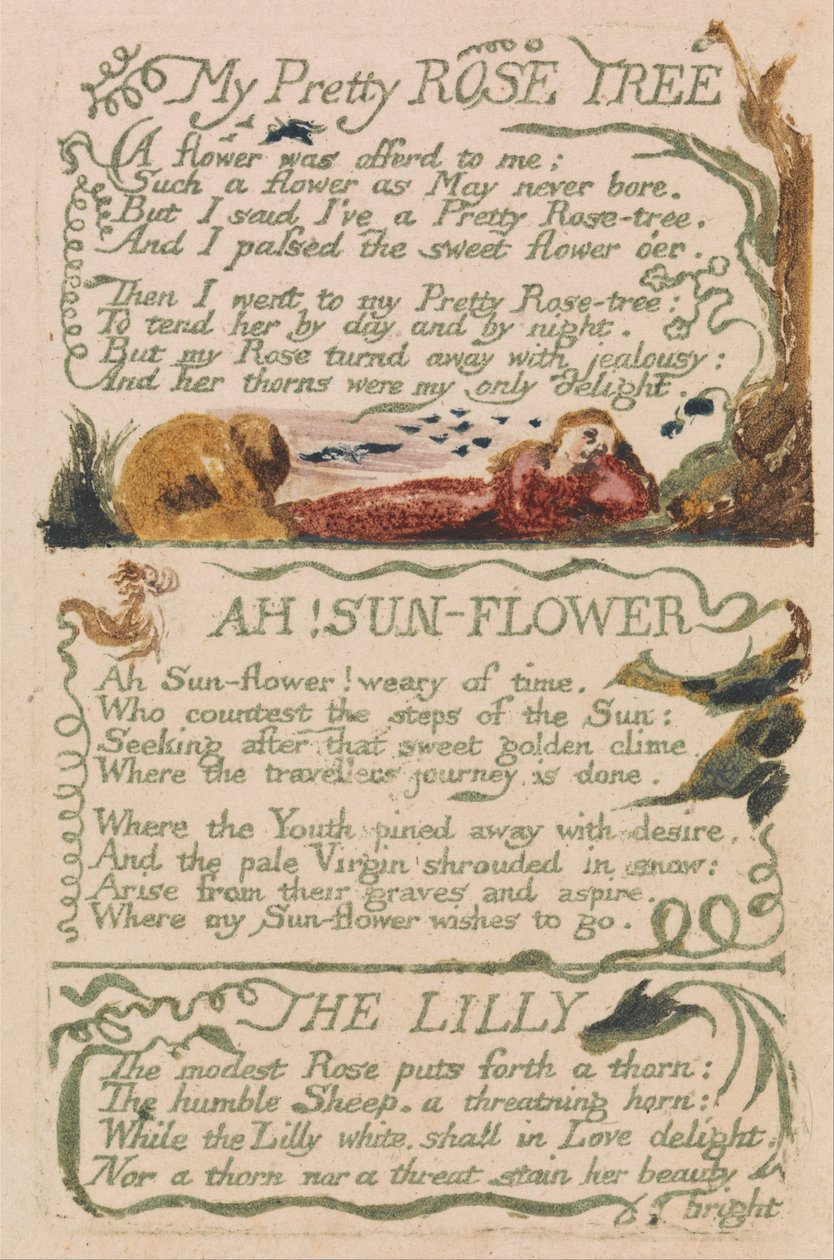 Liederen van Onschuld en Ervaring, Plaat 47, Mijn Mooie Rozenboom (Bentley 43) door William Blake
