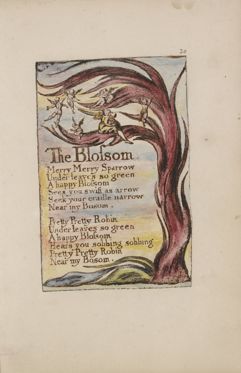 De Bloesem, plaat 20 uit Songs of Innocence and of Experience [Bentley 11] door William Blake