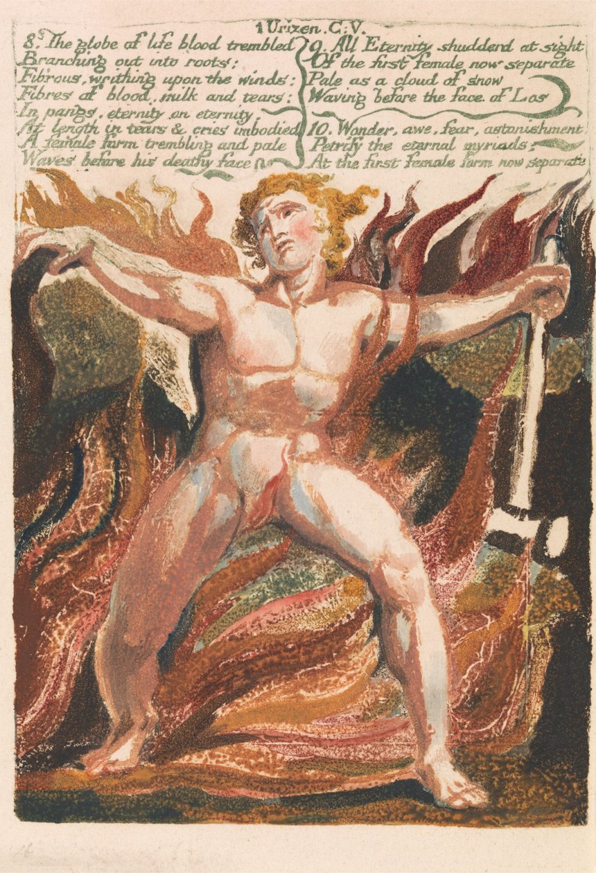 Het eerste boek van Urizen, Plaat 15 door William Blake