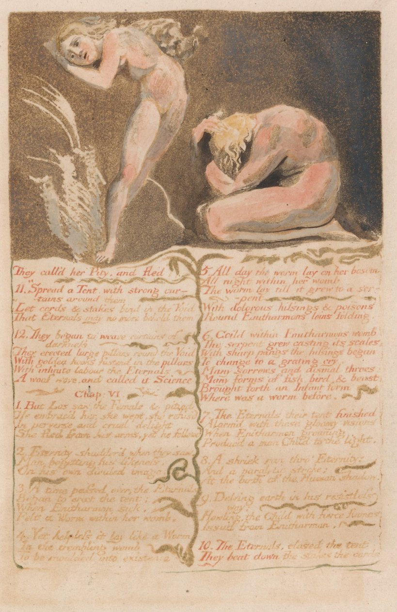 Het eerste boek van Urizen, Plaat 19, Ze noemden haar medelijden en vluchtten.... (Bentley 19) door William Blake
