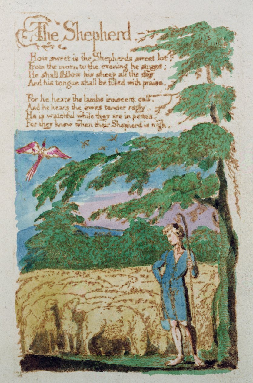 De Herder, uit Songs of Innocence, 1789 door William Blake
