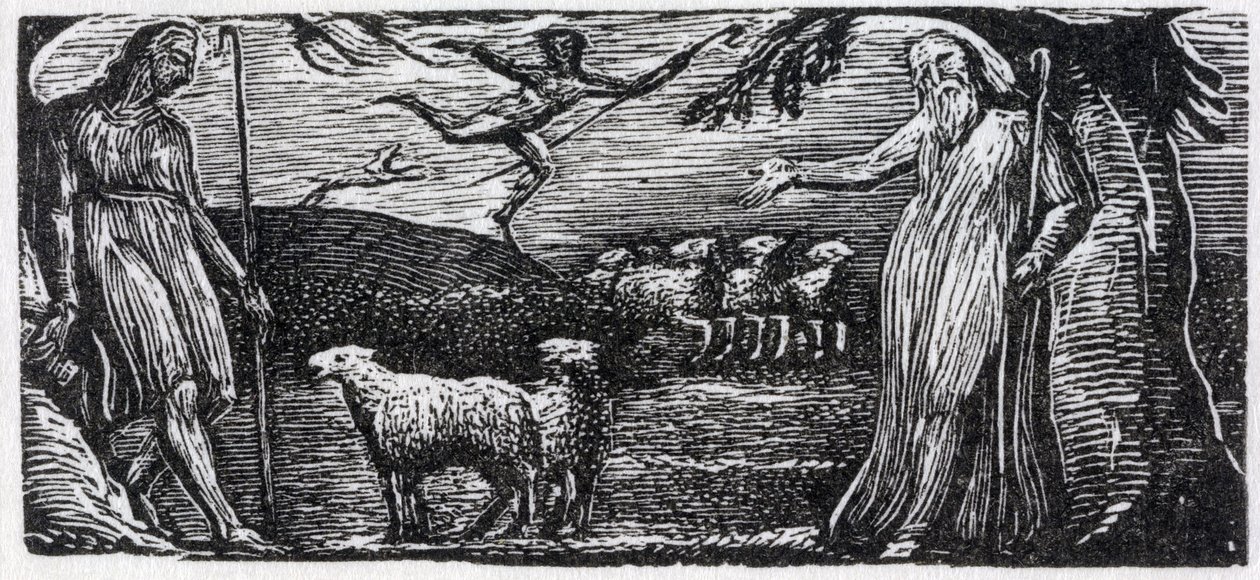 Thenot remonstrates with Colinet, Lightfoot in the Distance, illustratie uit Dr. Thornton