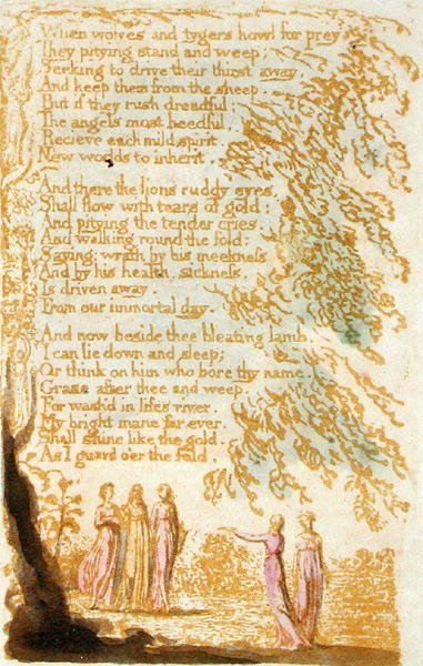Wanneer wolven en tijgers huilen..., plaat 17 uit Songs of Innocence, 1789 door William Blake