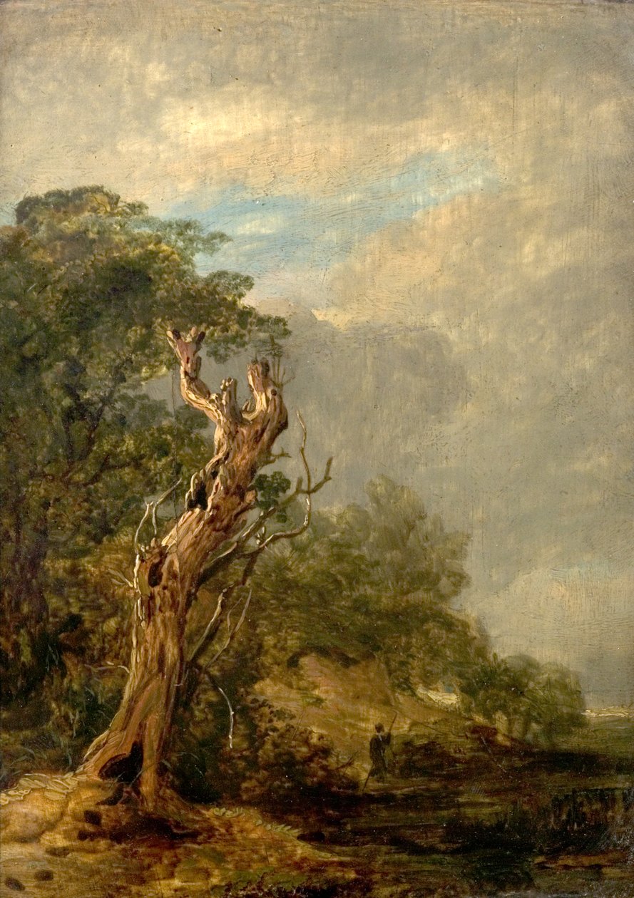 De verdorde boom door William Collins