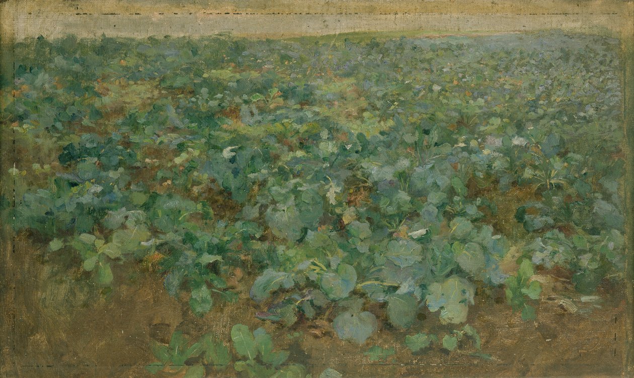 Het raapveld door William Edward Stott