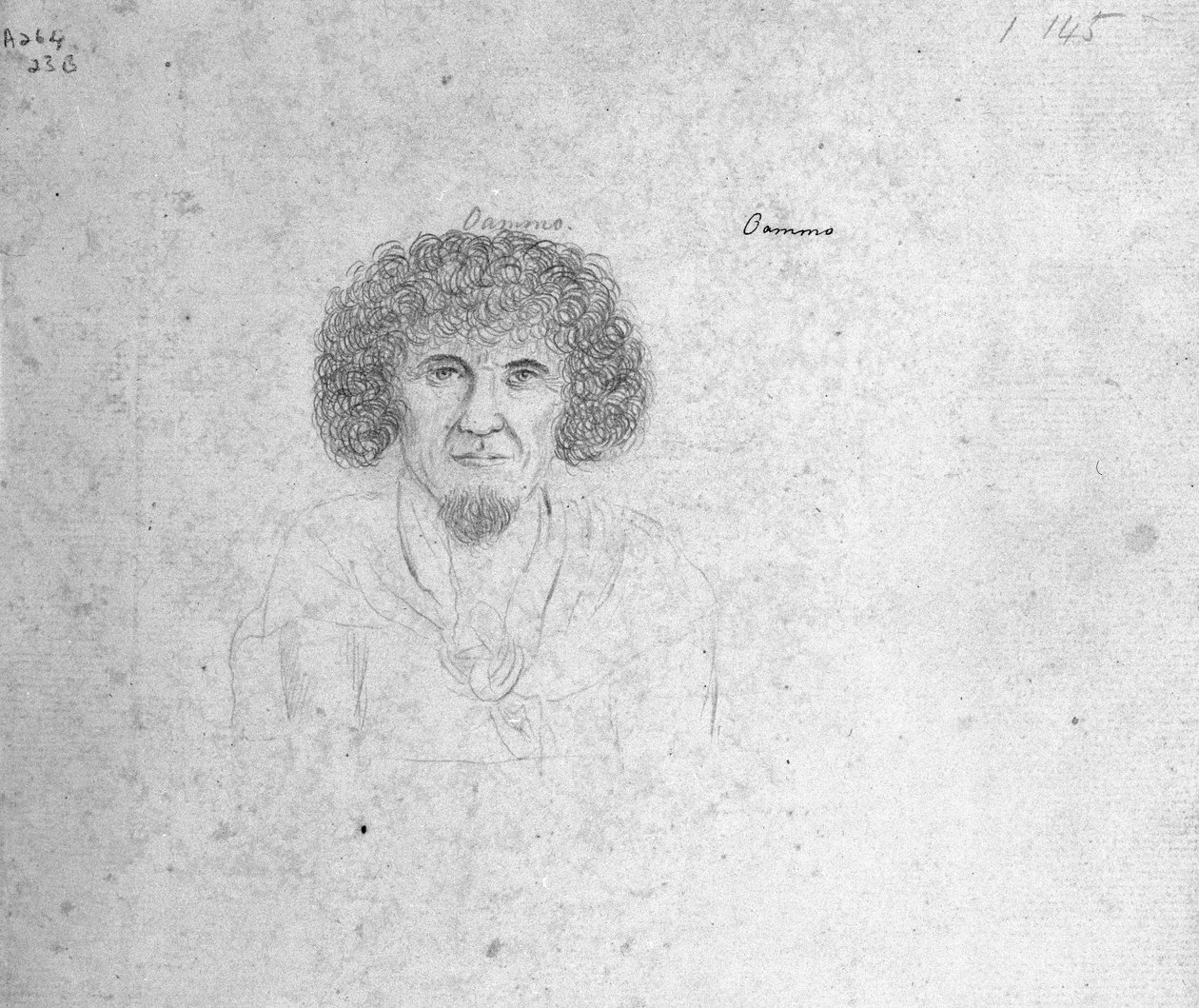 Oammo door William Ellis