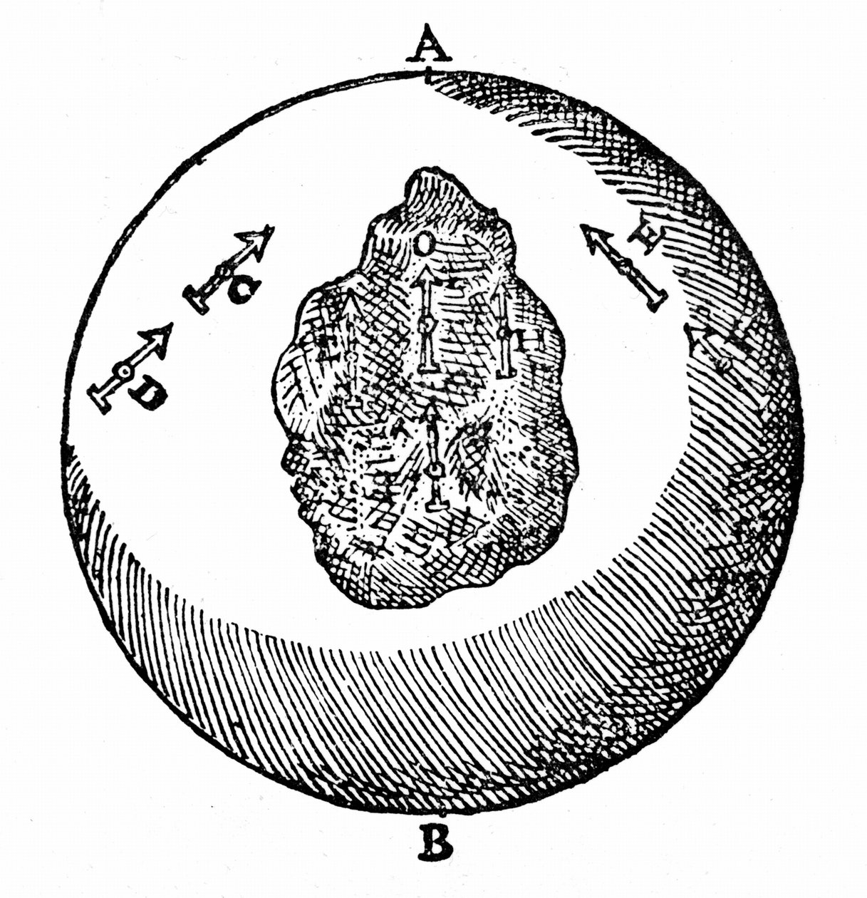 Magnetische naalden op een terrella wijzen naar de noordpool, A. andere naalden doen hetzelfde, zelfs als het oppervlak van de terrella ongelijk is, zoals bij O. Uit William Gilbert De Magnete, Londen door William Gilbert