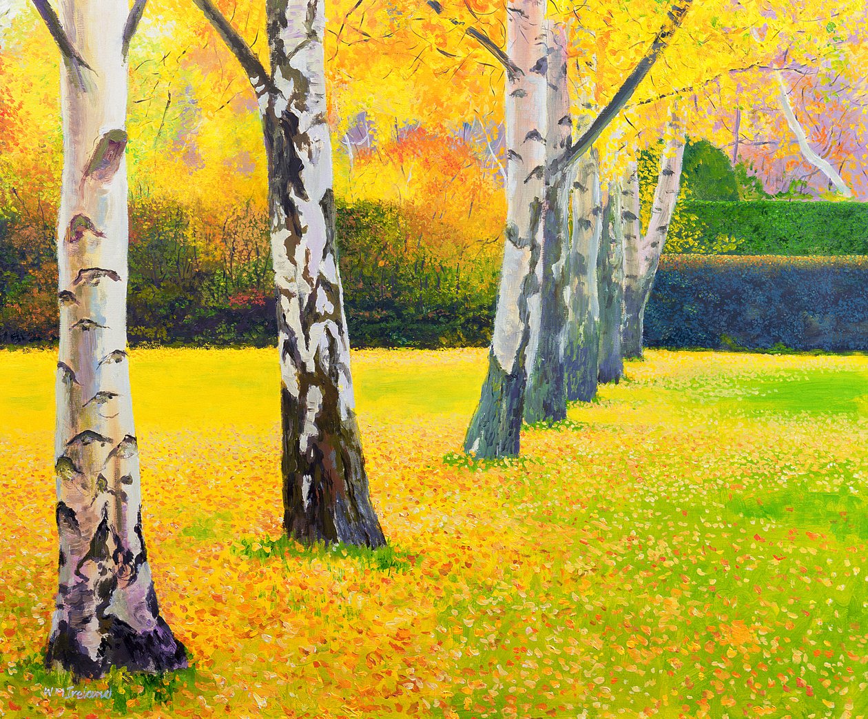 Herfstgoud door William Ireland