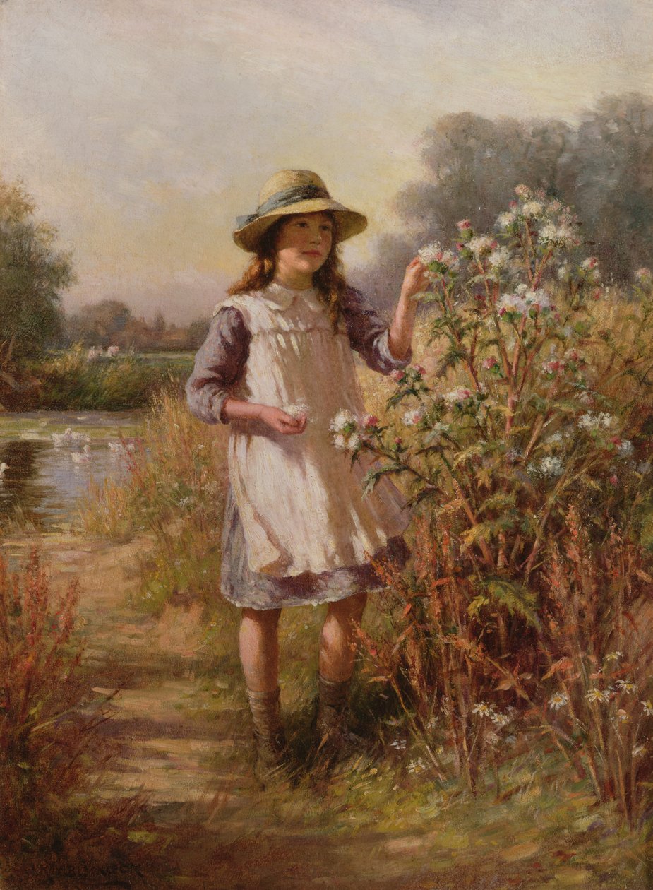 Onbekend beeld door William Kay Blacklock