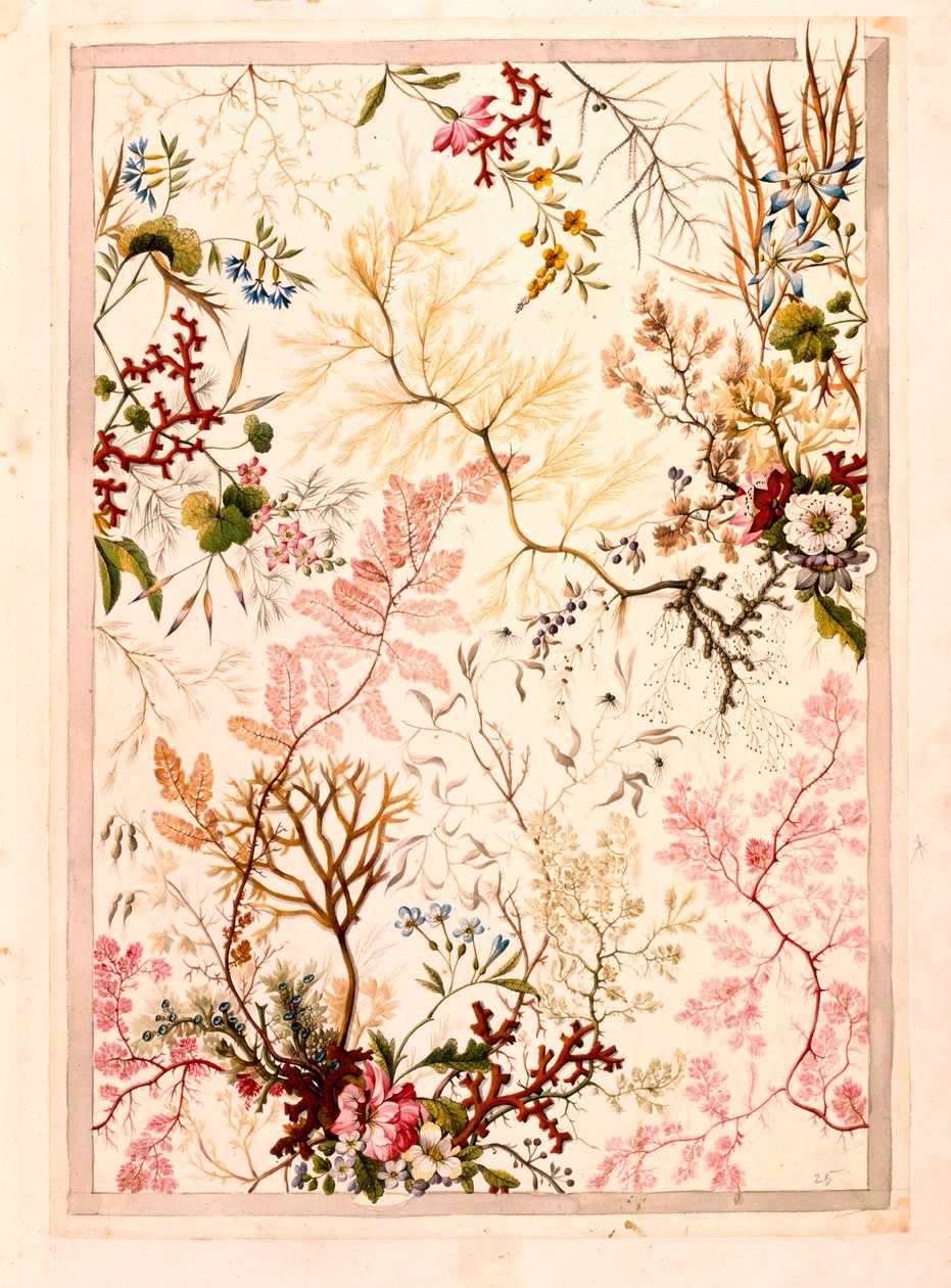 Marmeren eindpapier door William Kilburn