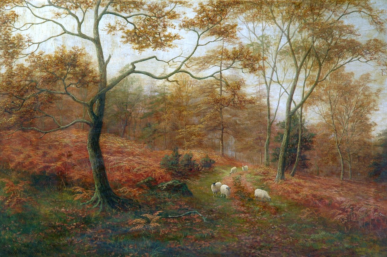 Bolton Woods, Yorkshire door William Mellor