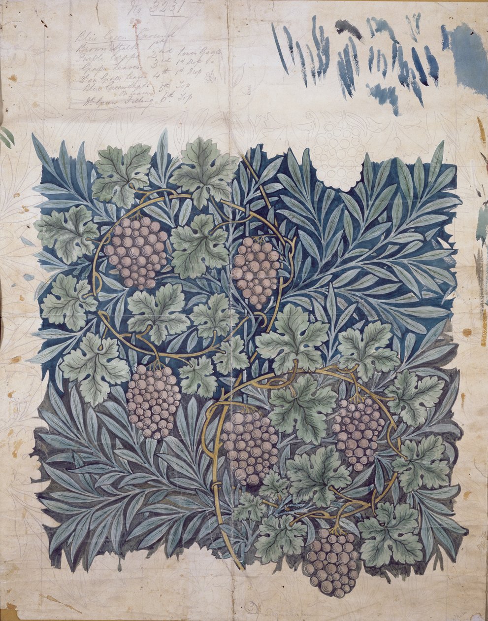 Blad- en Druifontwerp voor 