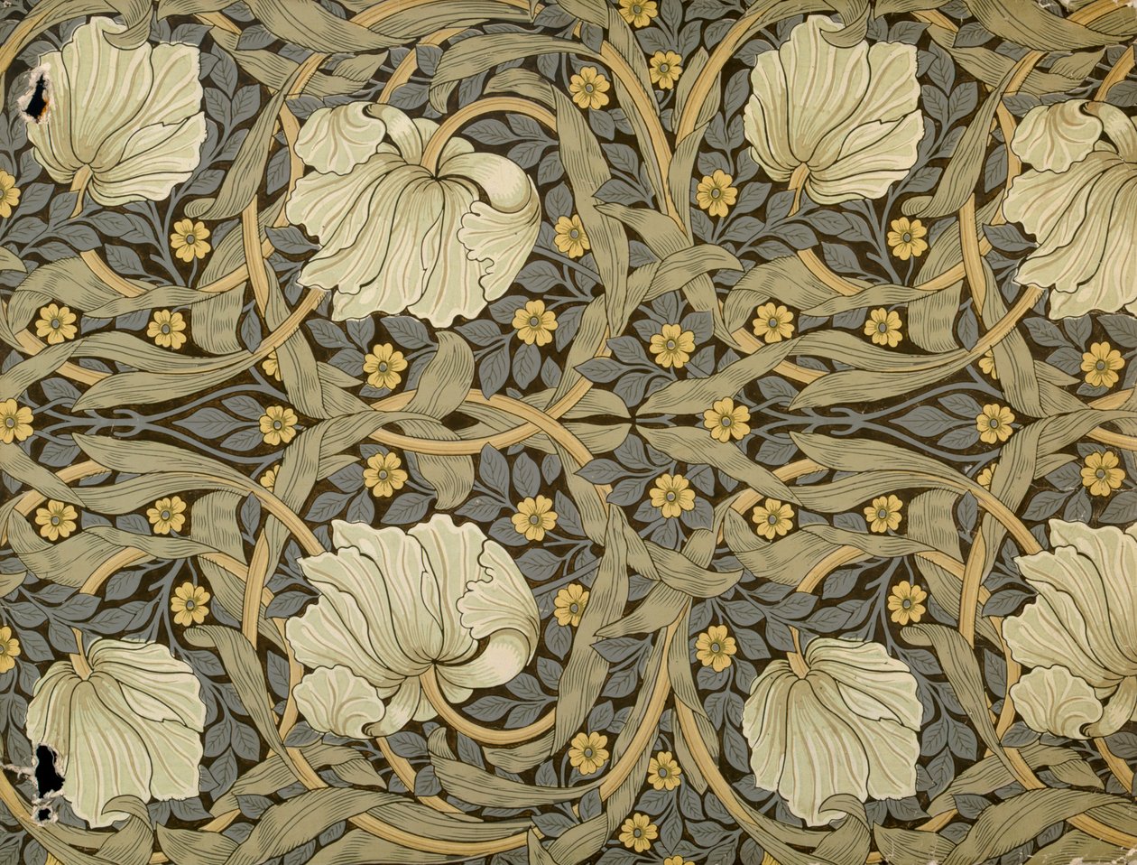 Pimpernell, ontwerp voor behang, 1876 door William Morris