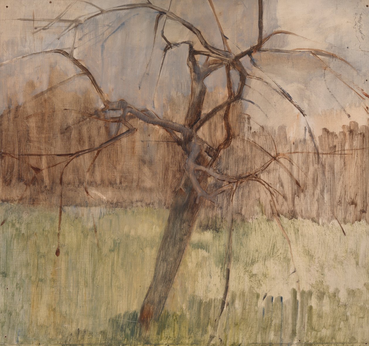 Appelboom door William Packer