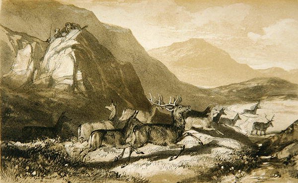 Schoten van Cairn Cherie, uit De Kunst van het Hertstalken: Geïllustreerd door een Verhaal..., 1839 door William Scrope