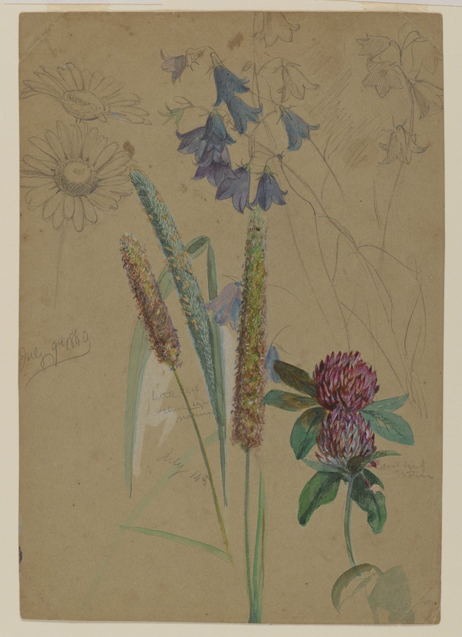 Bloemenstudie, 1860 door William Trost Richards
