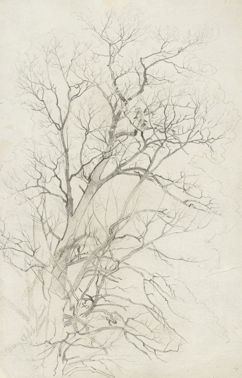 Boom, 1866 door William Trost Richards