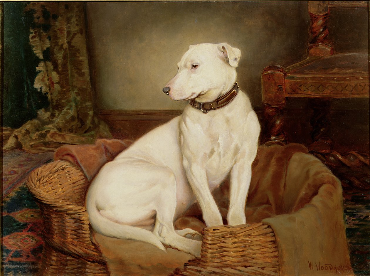 In Ongenade door William Woodhouse