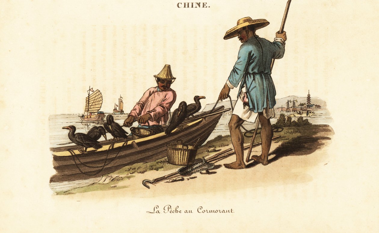 Chinese vissers en hun aalscholvers door William (after) Alexander