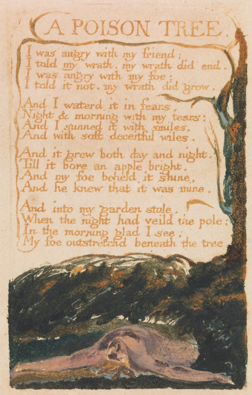 Songs of Innocence and of Experience, Plaat 41, "A Poison Tree" (Bentley 49) door William Blake