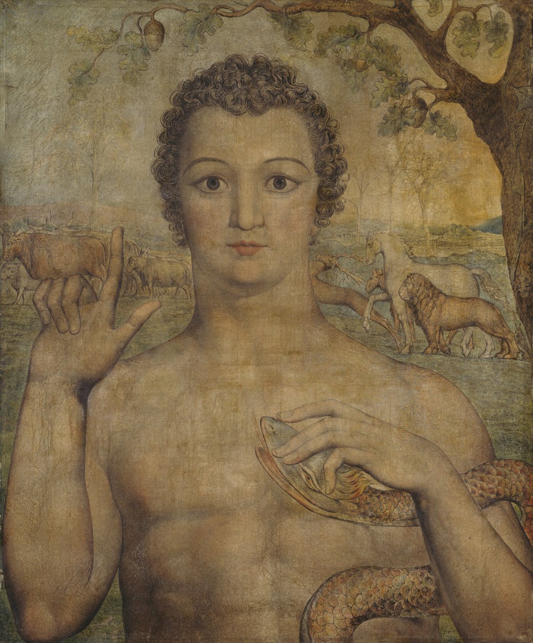 Adam benoemt de dieren door William Blake