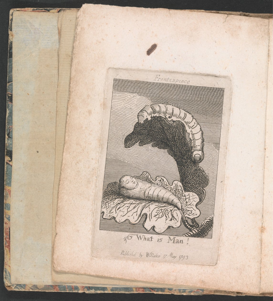 Voor Kinderen. De Poorten van het Paradijs, Plaat 1, Frontispice, Wat is de Mens! door William Blake
