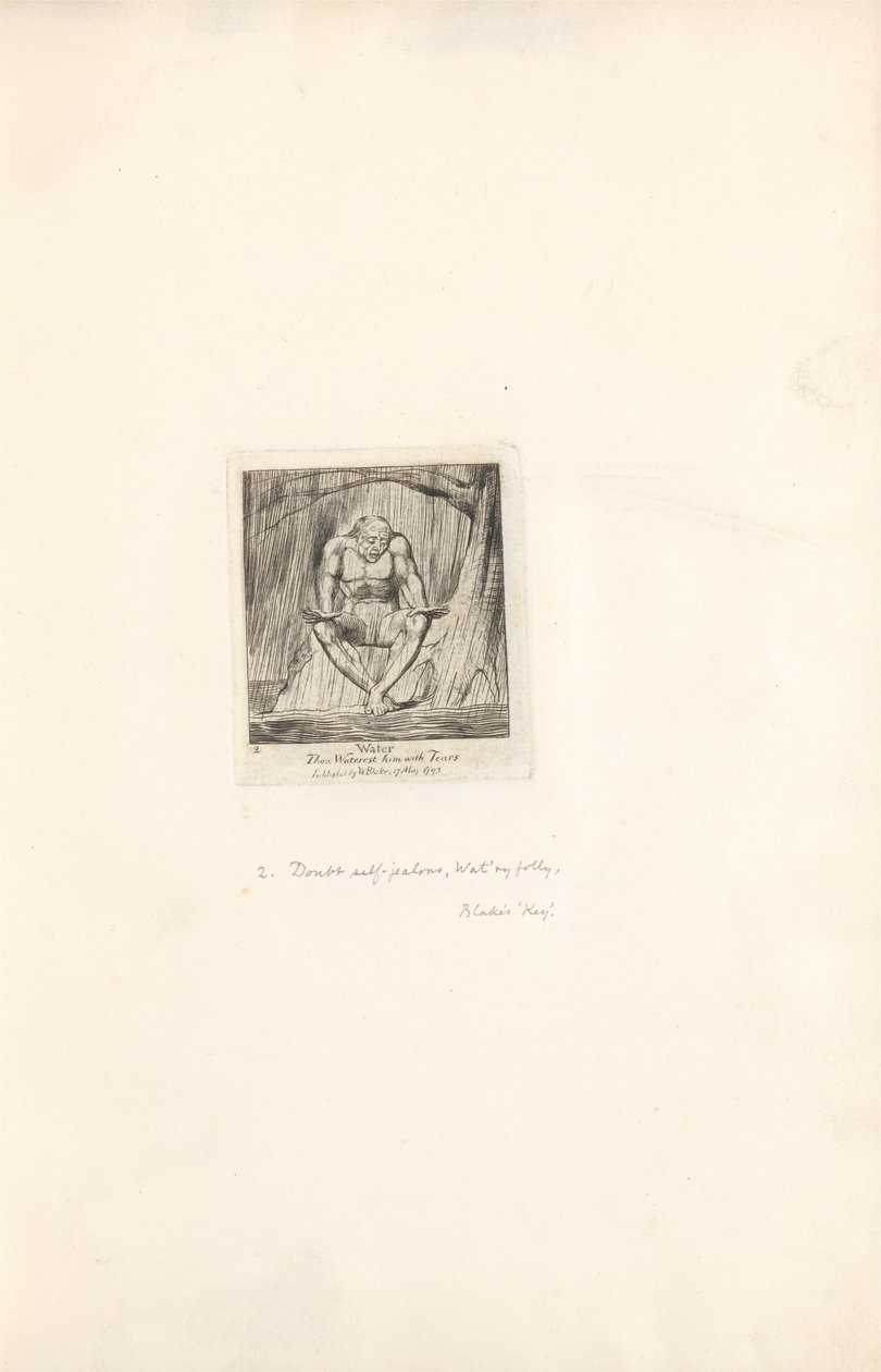 Voor de Geslachten- De Poorten van het Paradijs, Plaat 4, Water door William Blake